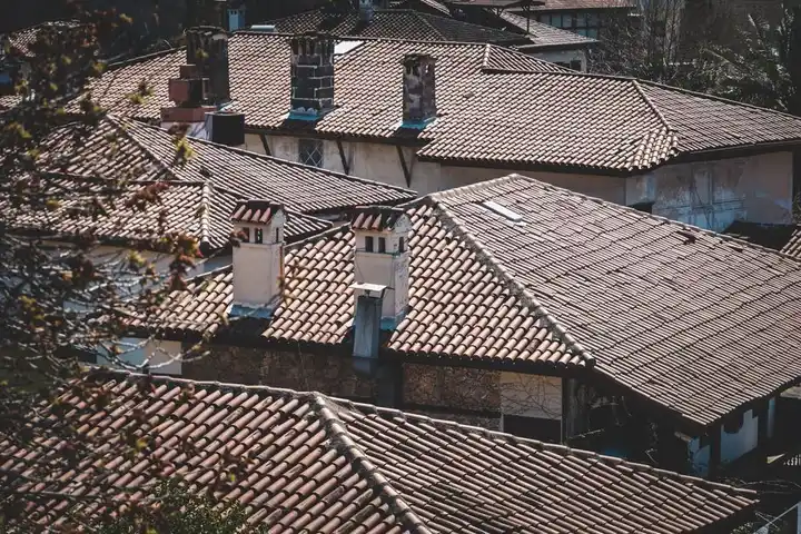 A collection of traditional tiled rooftops in a quiet residential neighborhood.